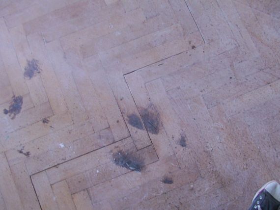 Renovace parket v Mšenu