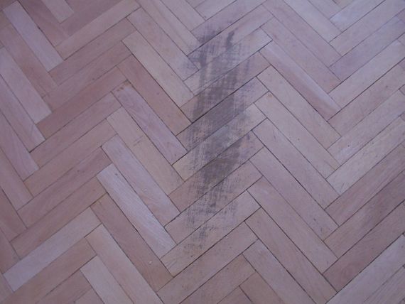 Renovace parket - Kralupy