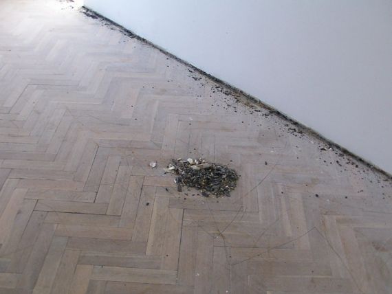 Oprava parketů v Praze